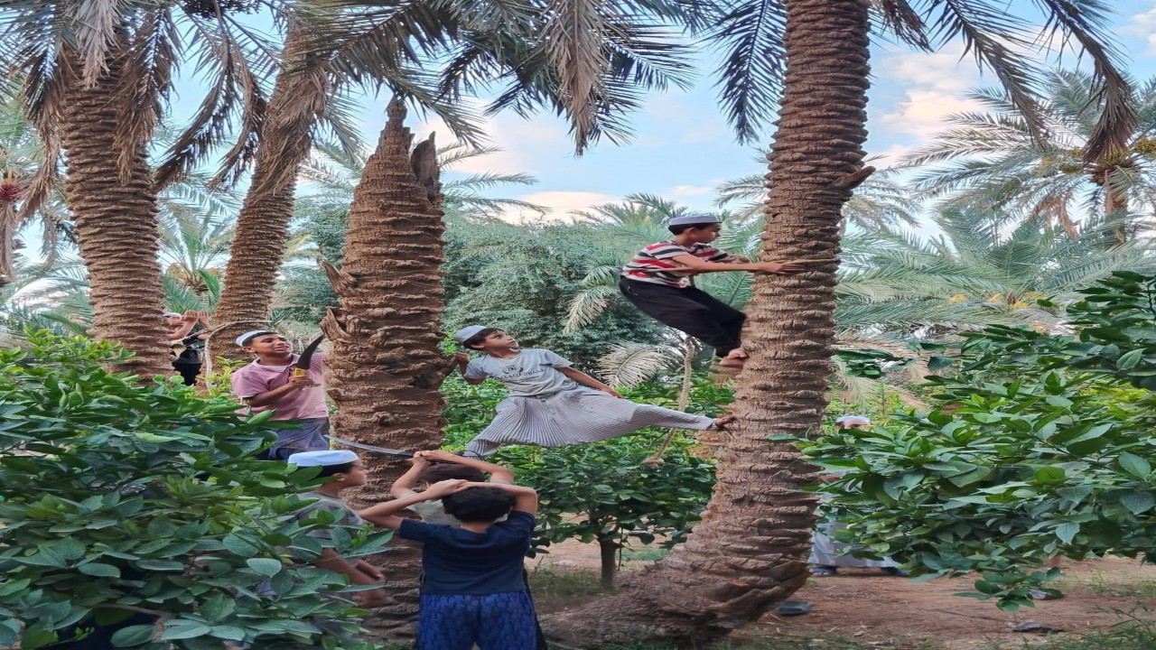صور من الدورة التكوينية التطبيقة في تسلّق النخيل.